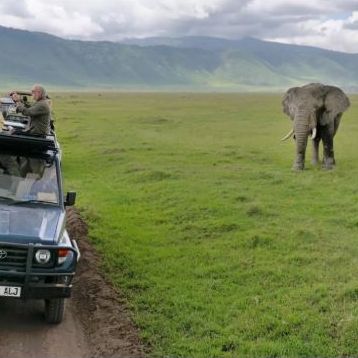 Elefant im Ngorongoro